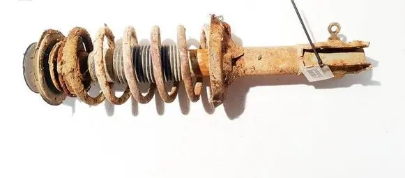 Front shock absorber/damper