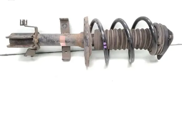 Renault Zoe Front shock absorber with coil spring 543028406r