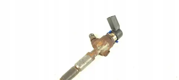 Ford Transit - Tourneo Connect Fuel injector 7T1Q-9F593-AB