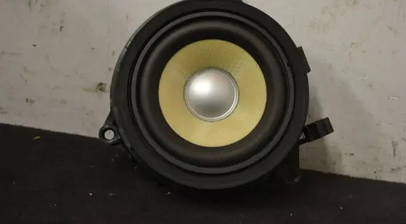 BMW X5 F15 Front door speaker 9295710