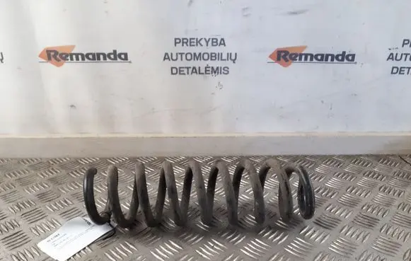 Rear coil spring