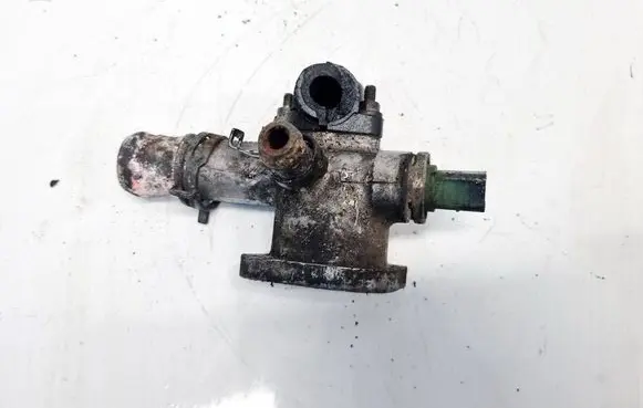 Volkswagen PASSAT B5.5 Engine coolant pipe/hose 038121133A