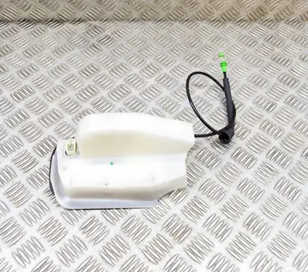 Tesla Model 3 Front door lock 106896300K