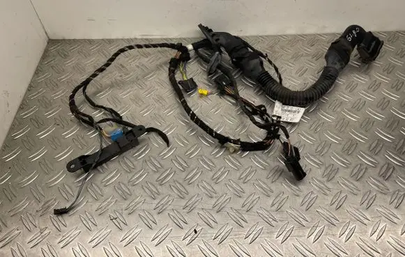 Mercedes-Benz GL X164 Rear door wiring loom A1644407010