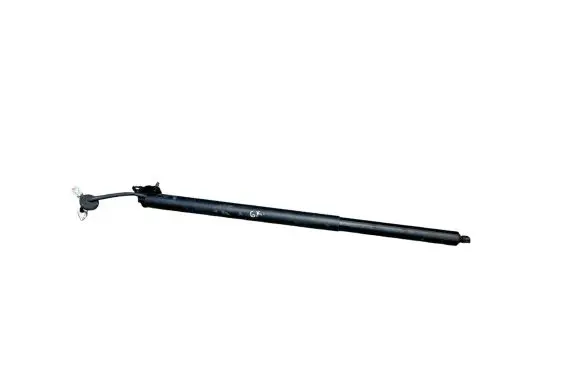 Tailgate strut