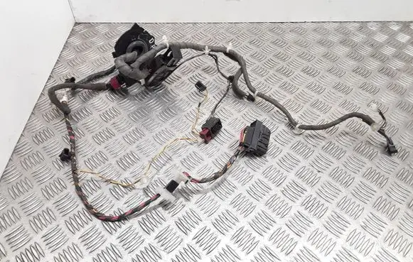 Front door wiring loom