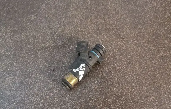 Citroen Xsara Fuel injector 01F002A