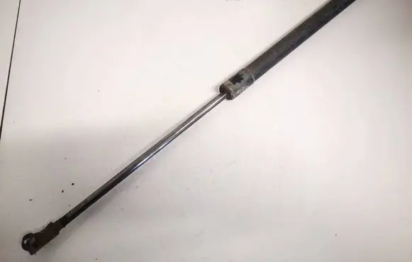 Tailgate/trunk strut/damper