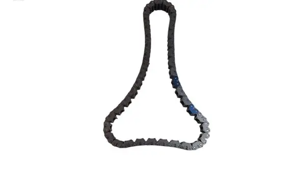 Ford Edge II Timing chain (engine) 