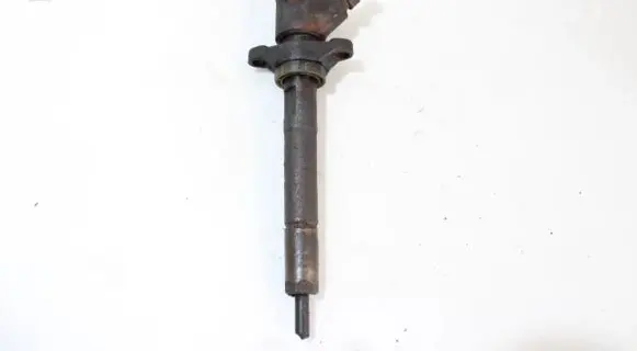Ford C-MAX I Fuel injector 0445110239