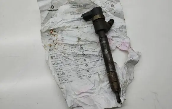 Volvo V70 Fuel injector 0445110298