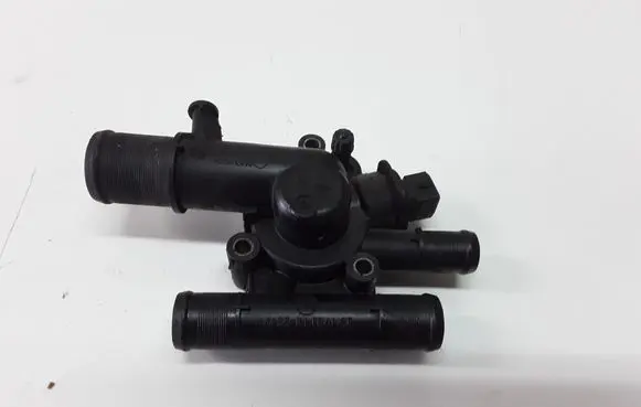 Thermostat/thermostat housing