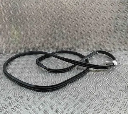 Nissan Ariya Rubber seal front coupe door 808315MP0A
