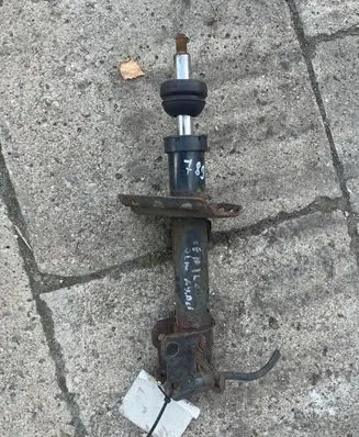 Opel Zafira B Front shock absorber/damper