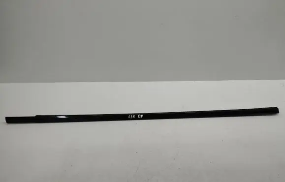 BMW X5 E53 Front door glass trim molding 