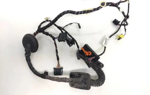 Front door wiring loom
