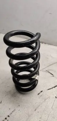 BMW M5 Rear coil spring 6889055 18340700378