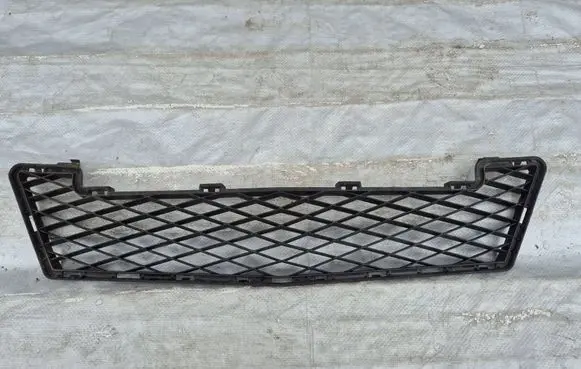 Mercedes-Benz A W169 Front bumper lower grill A1698856224