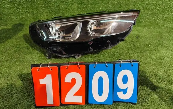Opel Insignia B Headlight/headlamp 10501020004 39195642 300474909