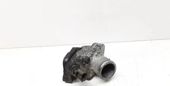 Thermostat/thermostat housing