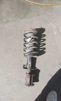 BMW X5 E53 Front shock absorber/damper 6754343