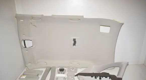 BMW X1 F48 F49 Headlining 9219498 7332815 7402607