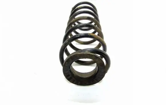 Rear coil spring