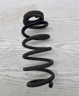 Rear coil spring