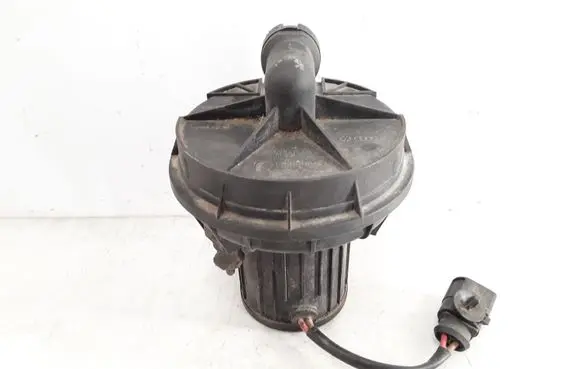 Volkswagen Phaeton Secondary air pump 3D0131083C 72844503
