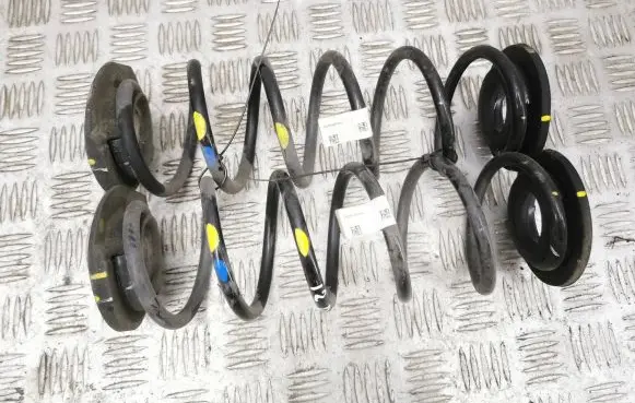 Rear coil spring