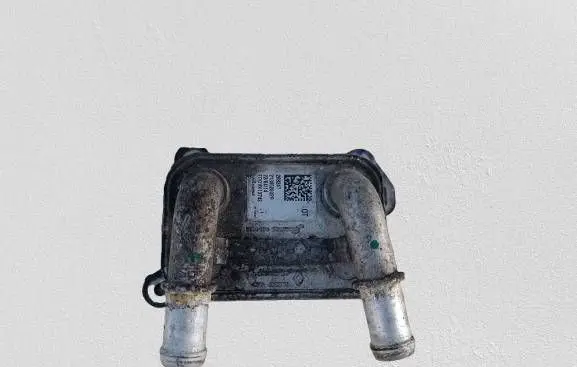 Dacia Sandero Engine oil radiator 213052032R