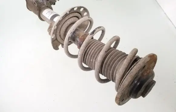 Opel Signum Front shock absorber with coil spring 824903014918 312601