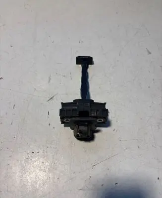 Dacia Spring Front door check strap stopper 2G0837923