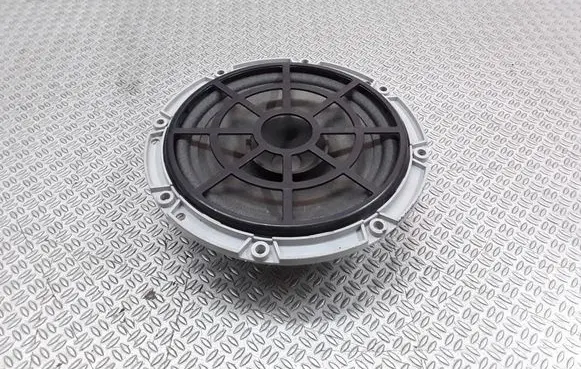 Rear door speaker