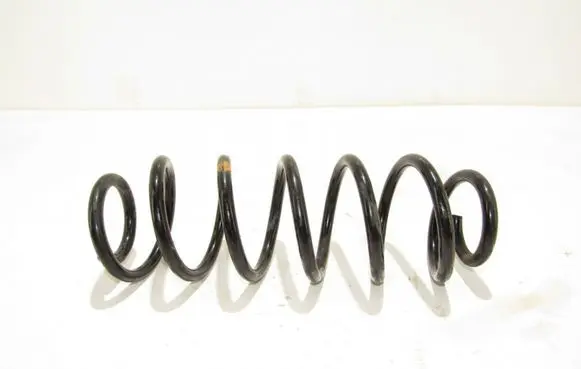 Skoda Fabia Mk3 (NJ) Rear coil spring