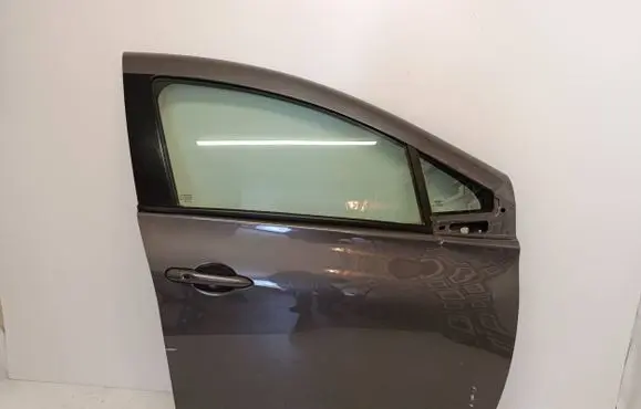 Renault Zoe Front door 80152112R
