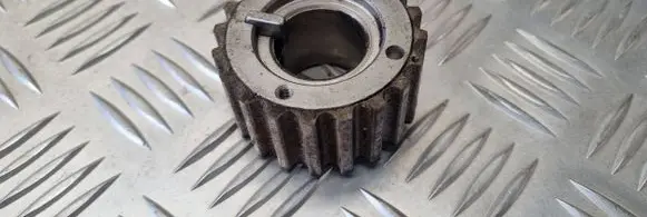 Renault Clio III Crankshaft gear 371496