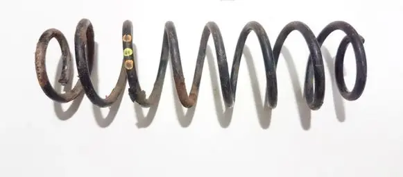 Volkswagen Polo Rear coil spring