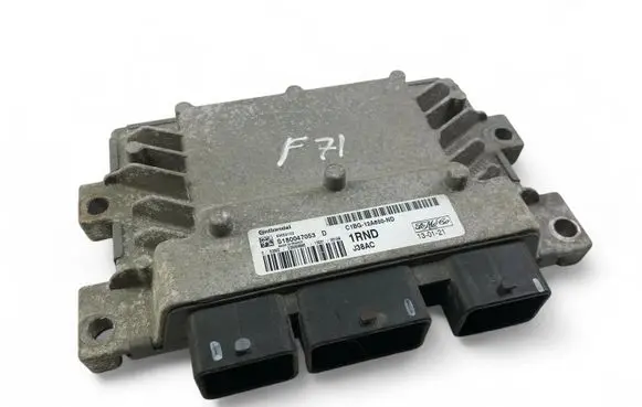 Engine control unit/module ECU