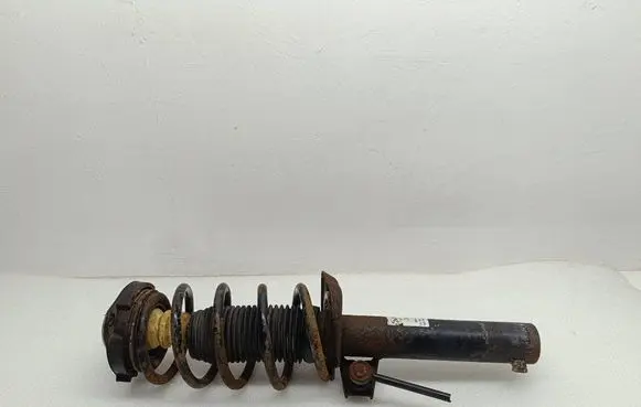 Volkswagen PASSAT B6 Front shock absorber/damper 824904005795 31E47