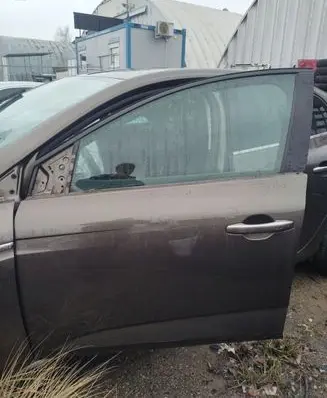 Renault Megane IV Front door