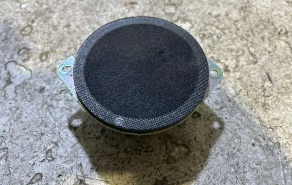Front door high frequency speaker
