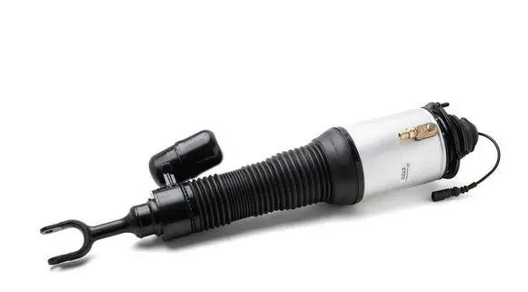 Bentley Continental Air suspension front shock absorber 3D0616040AD 3D0616040T