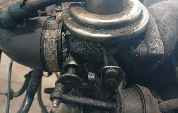 Volkswagen PASSAT B5.5 EGR valve 267306045