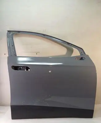 Volkswagen ID.4 Front door 11A831312