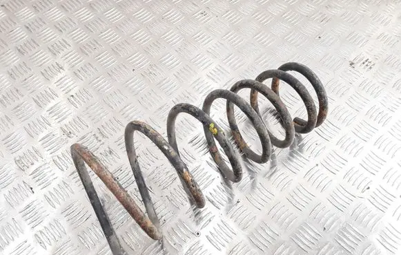 Hyundai Elantra Rear coil spring