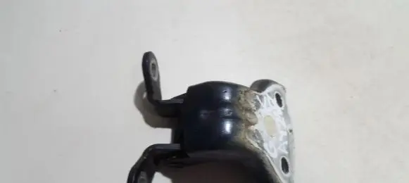 Chevrolet Captiva Rear door lower hinge