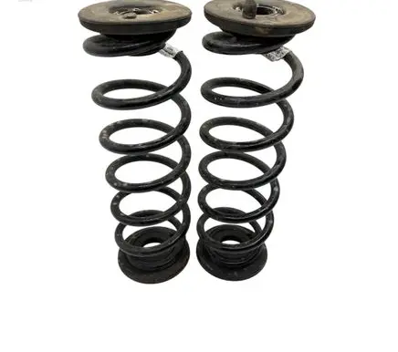 Rear coil spring