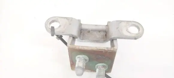 Tailgate/trunk/boot hinge