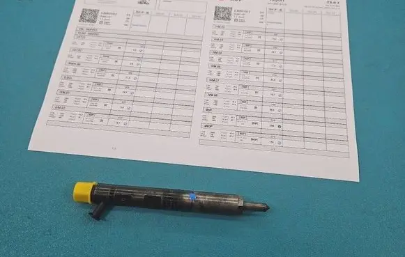 Renault Megane II Fuel injector EJBR02101Z IMPRK1512583